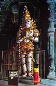शुचिन्द्रम दत्त मंदिर 
